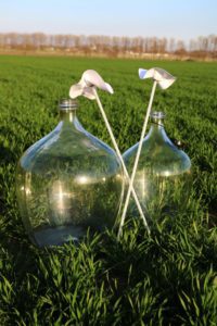 Two perfectly clean and crystal clear glass carboys after using the Pirouette cotton and sheep's wool cleaning brush.